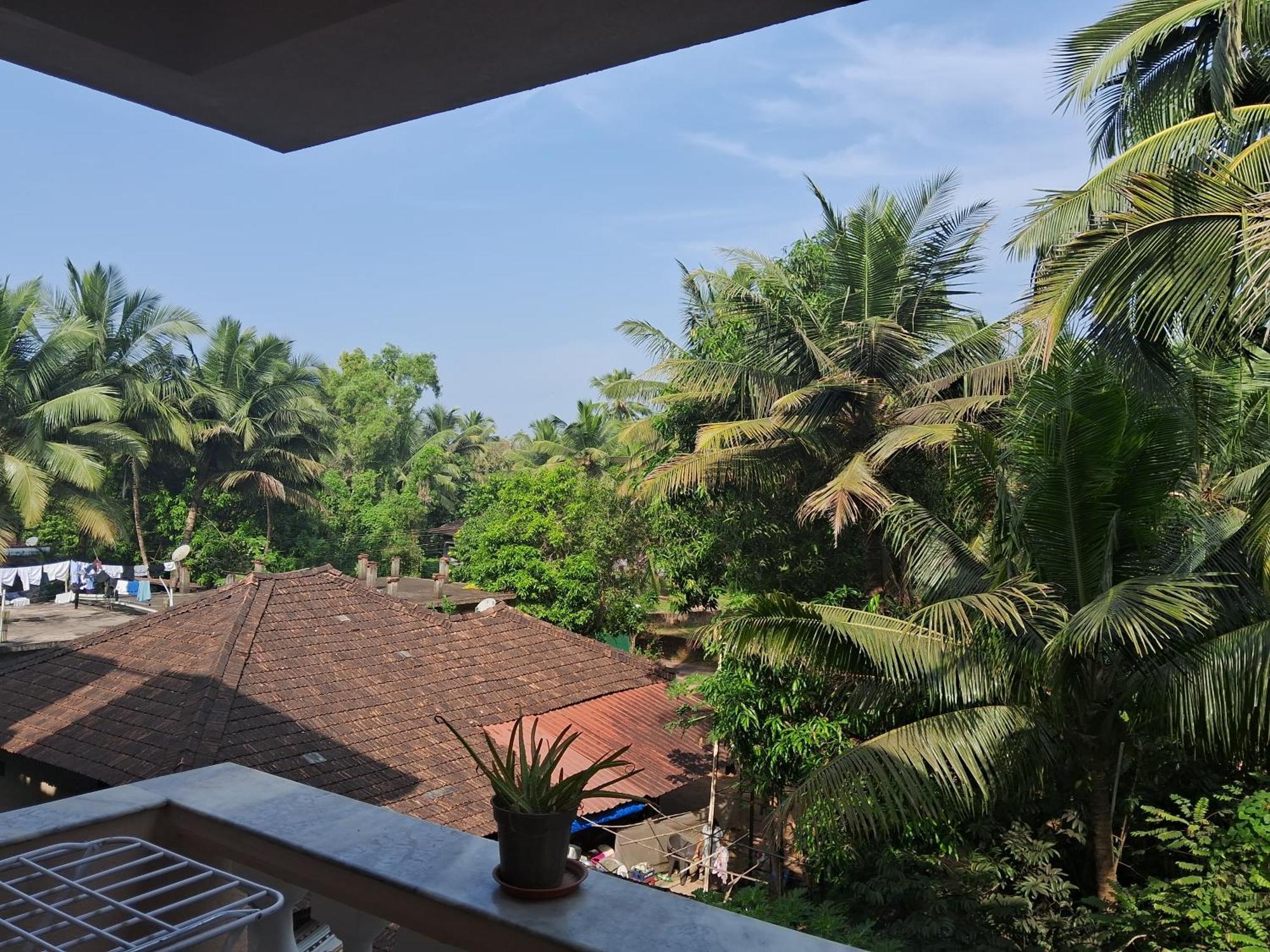Coconut Grove Holiday Apartment バーカ エクステリア 写真